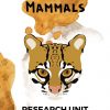 Mammals Research Unit - Mammals Unit Study for Kids