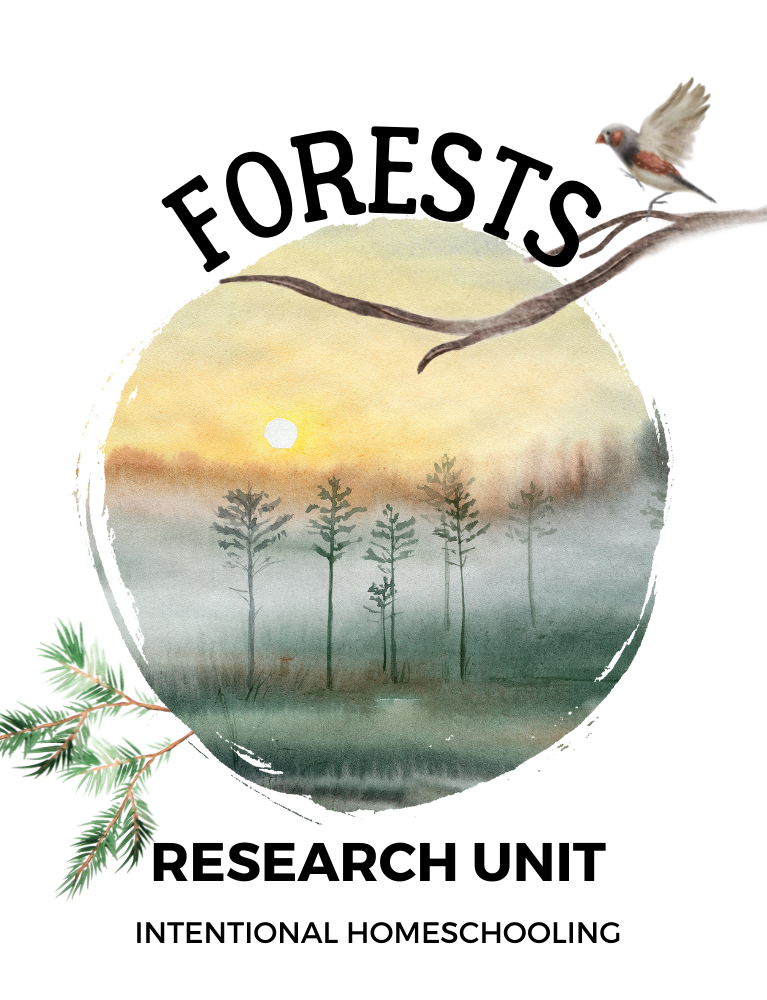 Forests Research Unit - Homeschool Unit Study