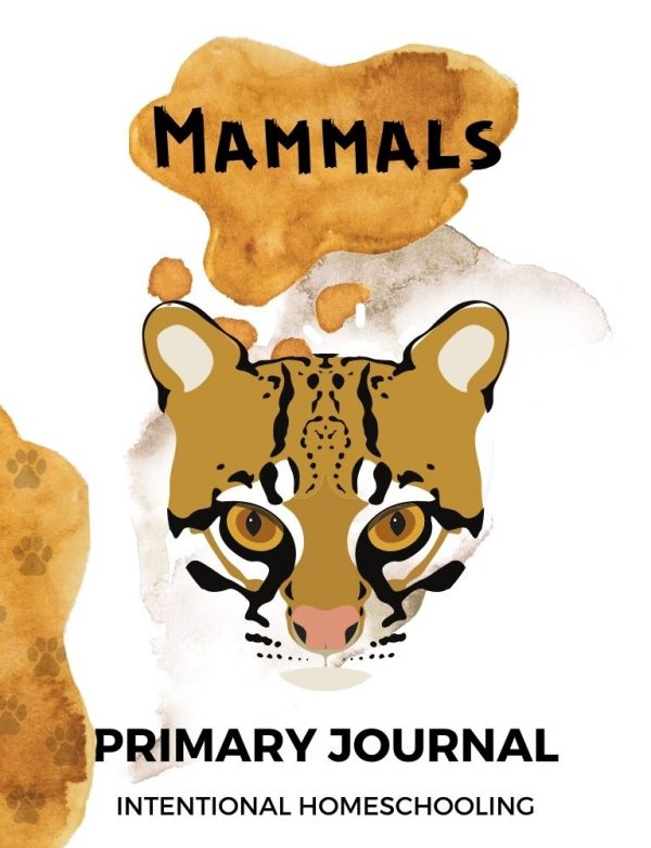 Mammals Primary Journal - Homeschool Preschool Journal - Intentional Homeschooling