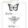 Butterflies & Bees Primary Journal - Homeschool Preschool Journal