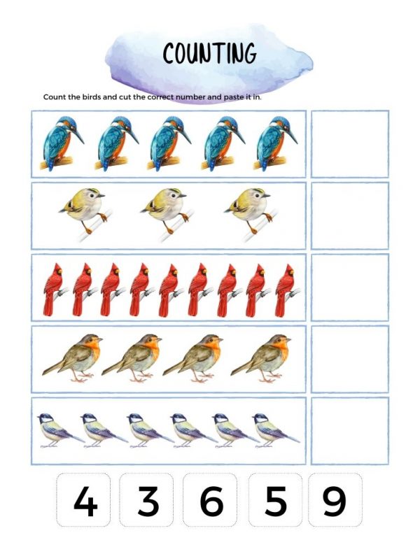 Birds Primary Journal - Homeschool Preschool Journal - Intentional Homeschooling