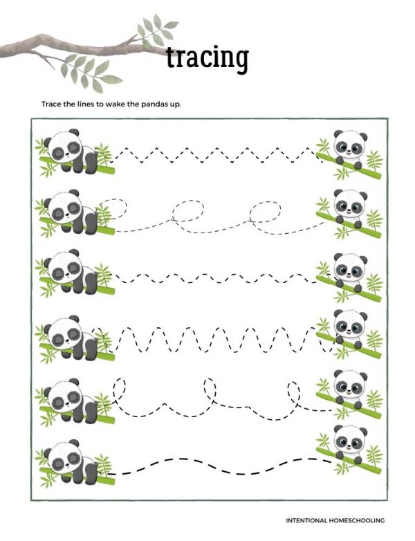 Forests Primary Journal - Homeschool Preschool Journal - Intentional Homeschooling