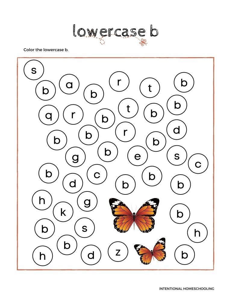 Butterflies & Bees Primary Journal - Homeschool Preschool Journal