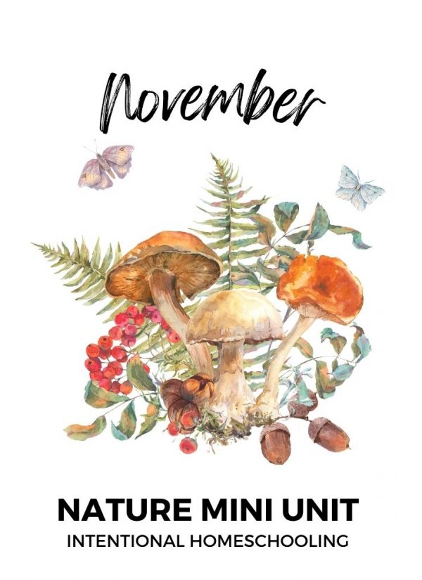 November Nature Mini Unit covering fungi, mushrooms, moss, lichen and weather - Intentional Homeschooling