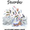 December Nature Mini Unit covering Christmas plants, winter birds and more! - Intentional Homeschooling
