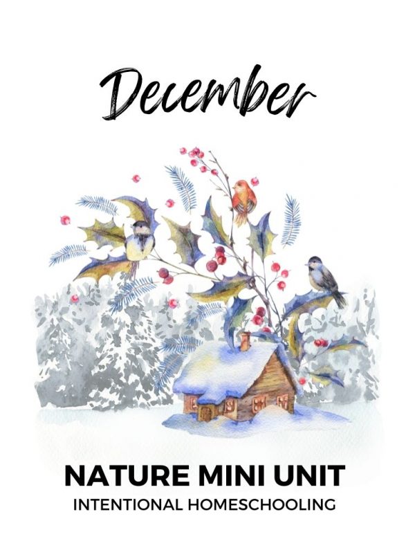 December Nature Mini Unit covering Christmas plants, winter birds and more! - Intentional Homeschooling