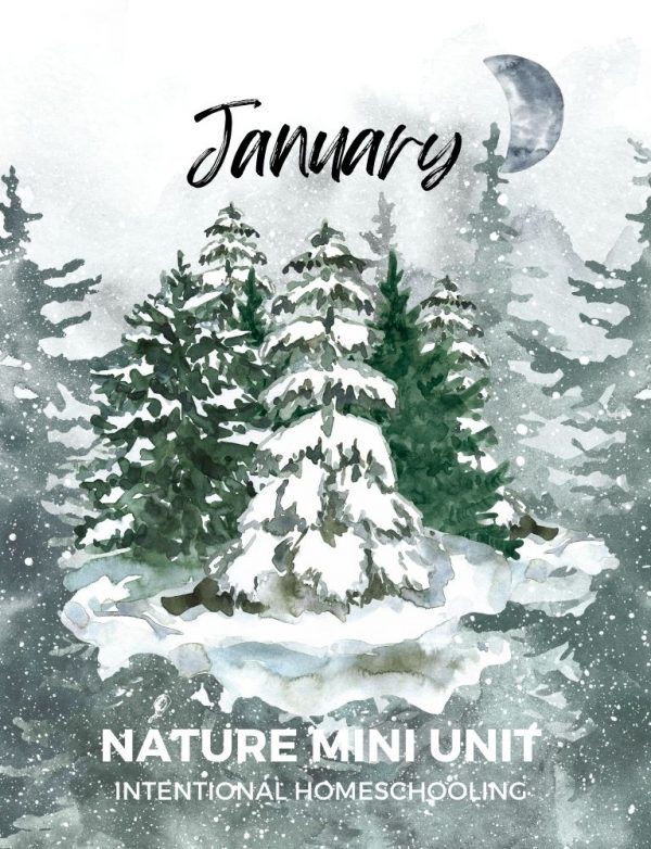 January Nature Mini Unit - Intentional Homeschooling
